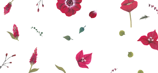 Red flowers|mocolier