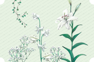 白い花たち|mocolier