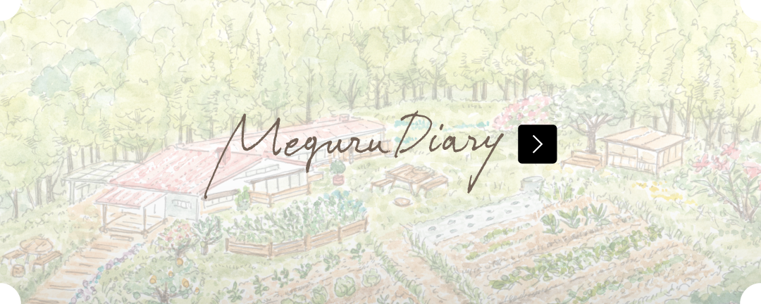 megurudiary