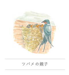 Tsubame no oyako|めぐるダイアリー