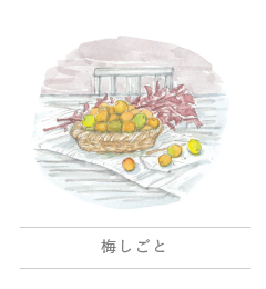 Umeshigoto|めぐるダイアリー