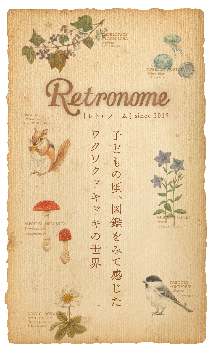 Retronome(レトロノーム)シリーズ