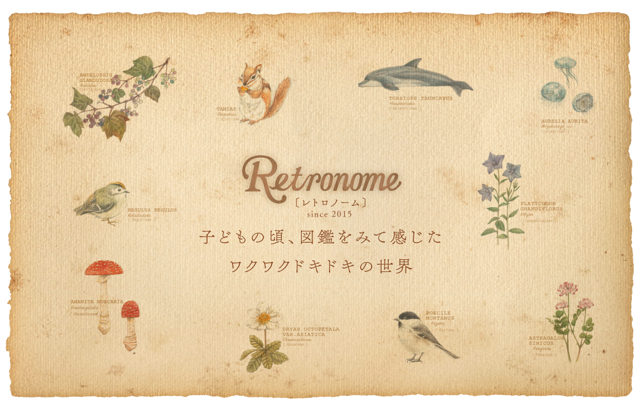 Retronome(レトロノーム)シリーズ