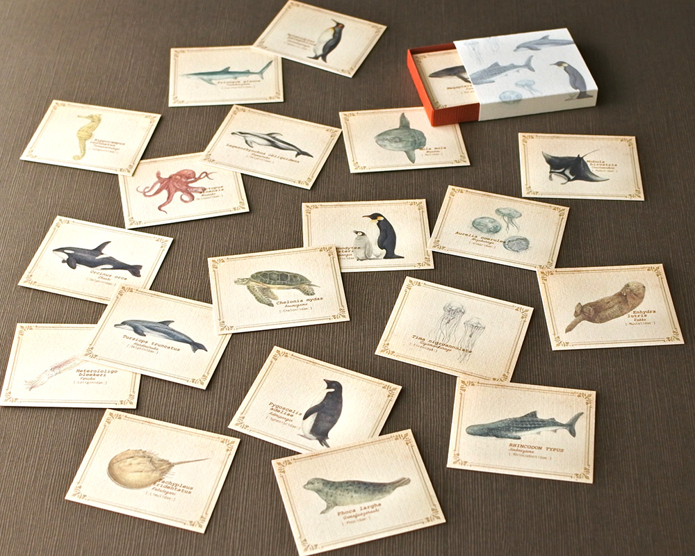 画像（図鑑風小さなメッセージカードBOX〔海の生き物〕）