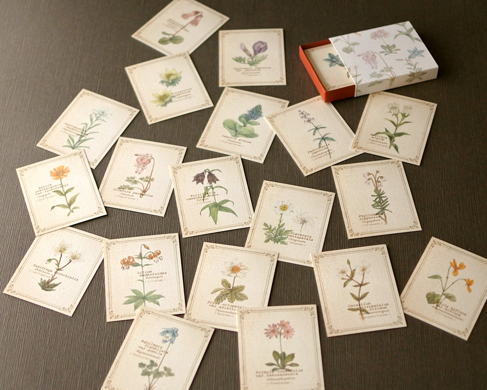 画像（図鑑風小さなメッセージカードBOX〔高山植物〕）